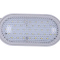 Special lighting LED for cold storage of waterproof and damp-proof bathroom